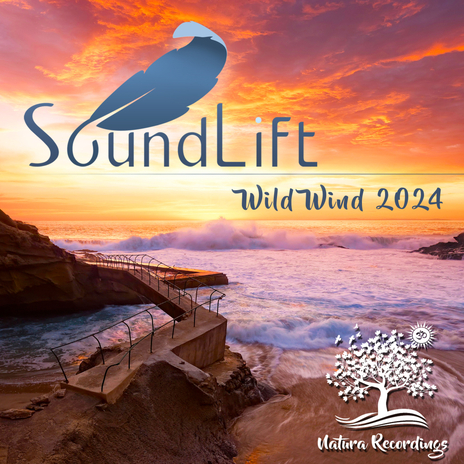 Wild Wind (2024 Remaster) | Boomplay Music