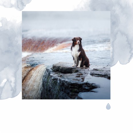 Pluie Endormie au-dessus du Vent ft. Pregnancy and Birthing Specialists, Mellow Music Inc, Calming for Dogs Indeed, Music For Calming Dogs & Baby Sleep Baby Sounds