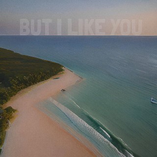 But I Like You lyrics | Boomplay Music