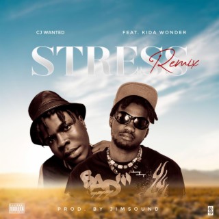 Stress (Remix) ft. Kida Wonder lyrics | Boomplay Music