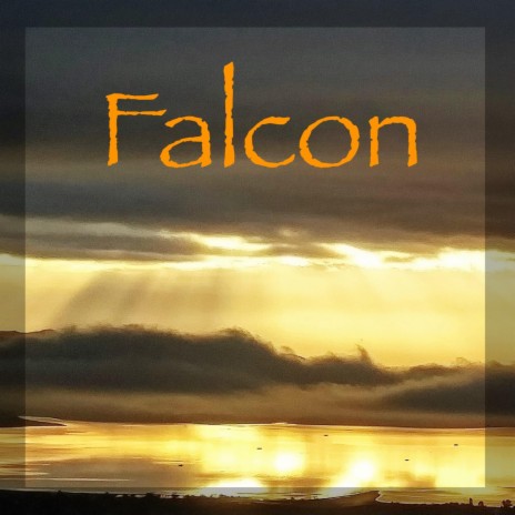 Falcon | Boomplay Music