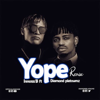 Yope Remix lyrics | Boomplay Music