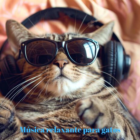 Paz no Lar ft. Cat Music Dream, Música de gato, Música para animais de estimação & Cat Music! | Boomplay Music