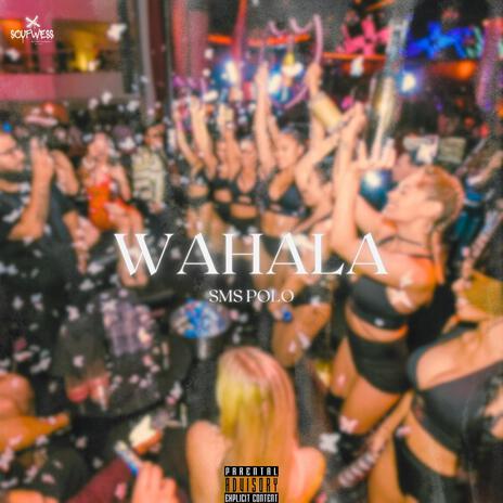 WAHALA ft. DimiMadeTheBeat | Boomplay Music