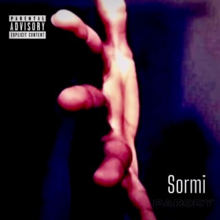 Sormi (parody) lyrics | Boomplay Music