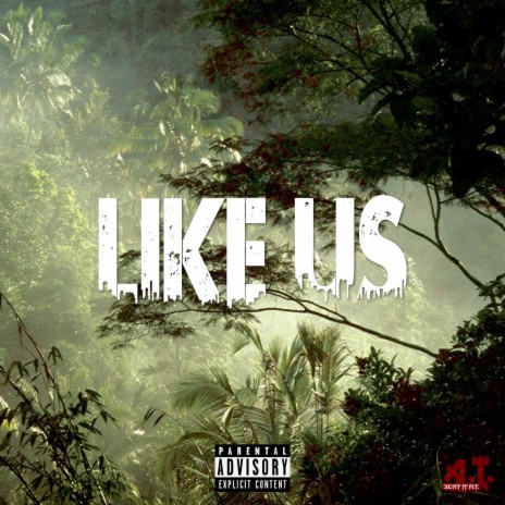 Like Us | Boomplay Music