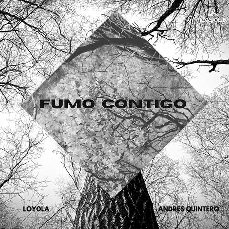 FUMO CONTIGO ft. loyola | Boomplay Music