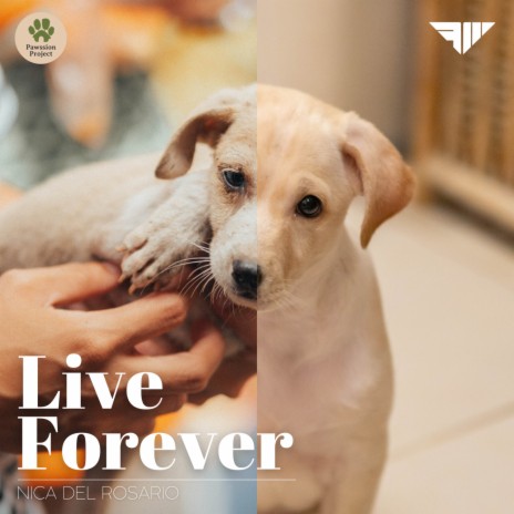 Live Forever | Boomplay Music