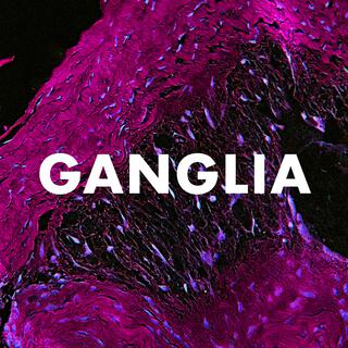 Ganglia