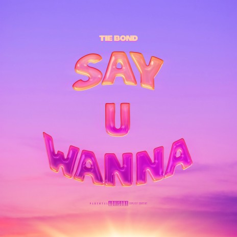 Say U Wanna