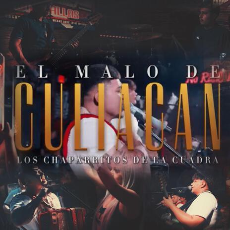 El malo de culiacan