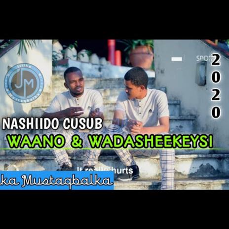 Waano & wadasheekeysi ft. baajamaall & inamukhtar | Boomplay Music