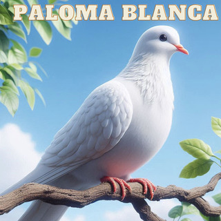 Paloma Blanca