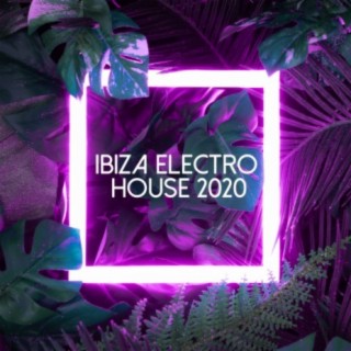Ibiza Electro House 2020