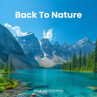 Back To Nature (432 Hz)