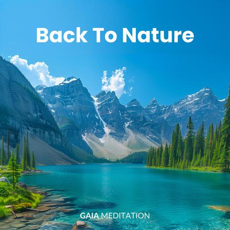 Back To Nature (432 Hz) | Boomplay Music