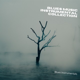 Blues Music Instrumental Collection