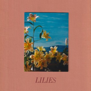 Lilies