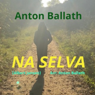 Na Selva lyrics | Boomplay Music