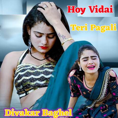 Hoy Vidai Teri Pagali | Boomplay Music