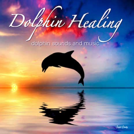 Dolphin city | Boomplay Music