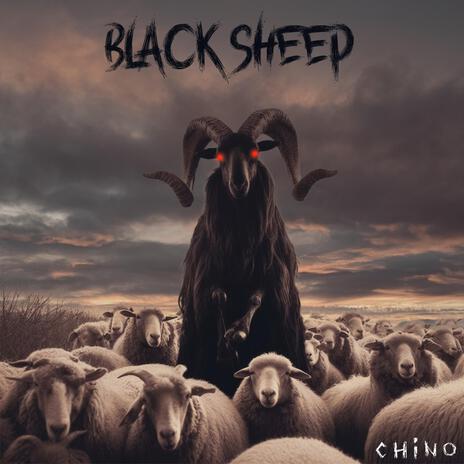 Black Sheep