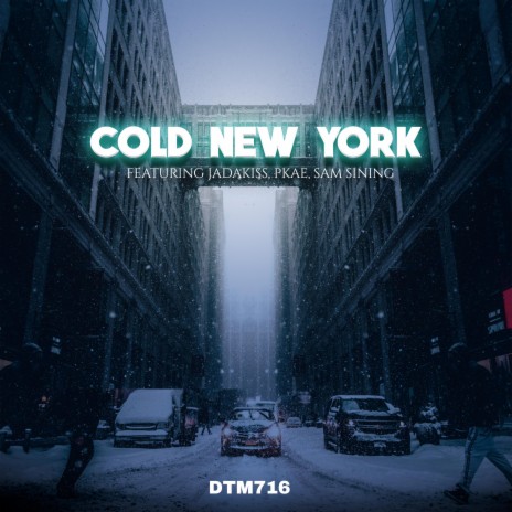 Cold New York (feat. Jadakiss,Pkae & Sam Sining)