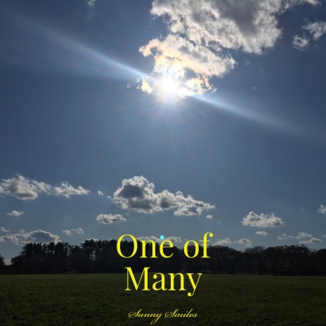 One of Many | Boomplay Music