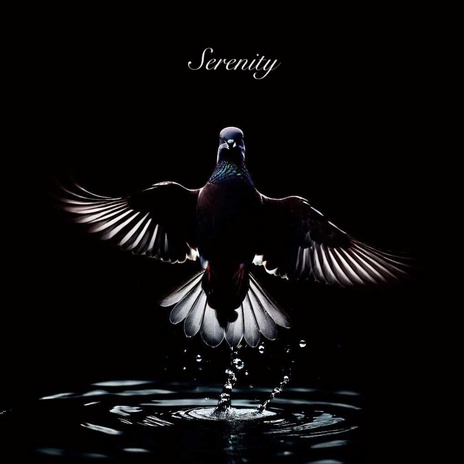 Serenity | Boomplay Music