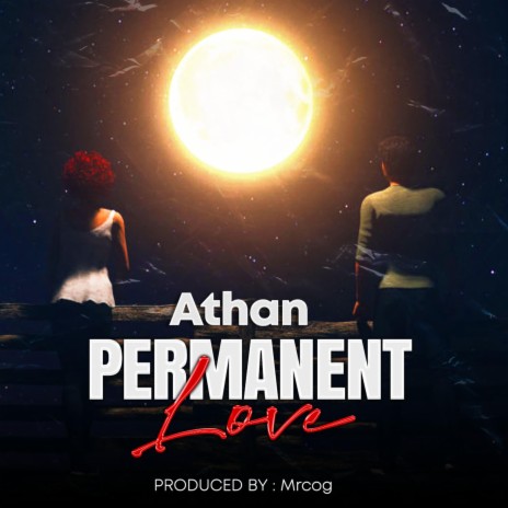 Permanent Love | Boomplay Music