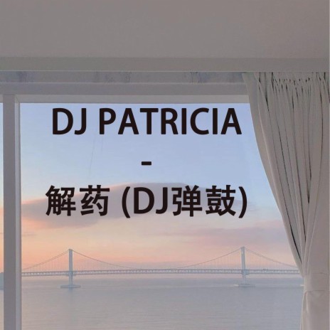 DJ PATRICIA - 解药 (DJ弹鼓) | Boomplay Music