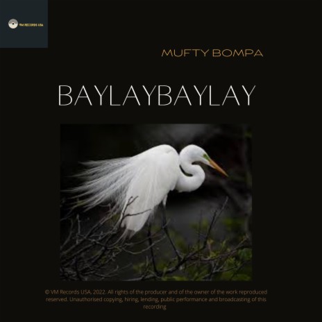 BAYLAYBAYLAY | Boomplay Music