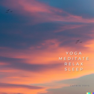 Yoga Meditate Relax Sleep