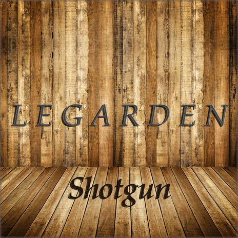 Shotgun | Boomplay Music