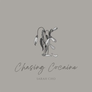 Chasing Cocaine lyrics | Boomplay Music