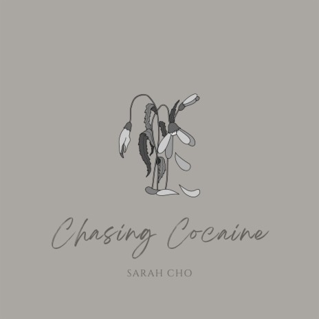Chasing Cocaine | Boomplay Music