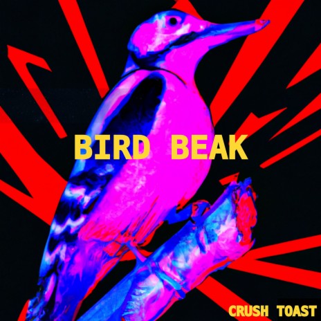 Bird Beak | Boomplay Music