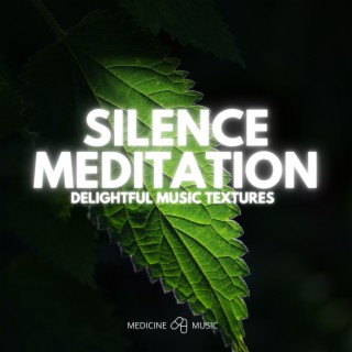 Silence Meditation (Delightful Music Textures)
