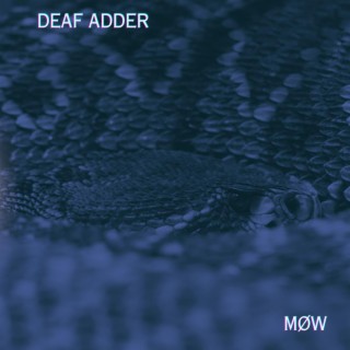 Deaf Adder