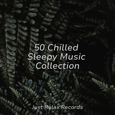 Fading Rays of Calm ft. Music For Absolute Sleep & Meditación | Boomplay Music