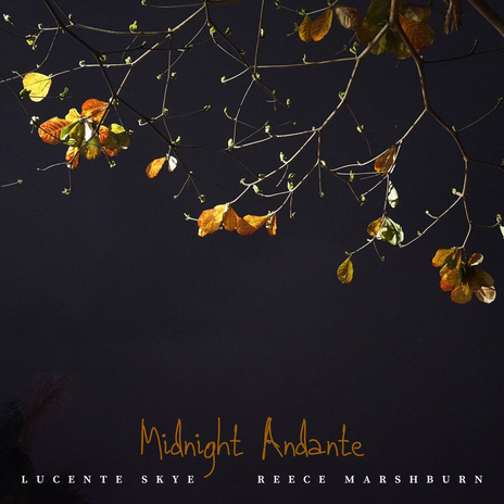 Midnight Andante ft. Reece Marshburn | Boomplay Music