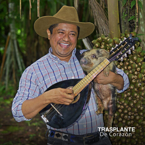 Trasplante de Corazón | Boomplay Music