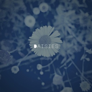 Daisies