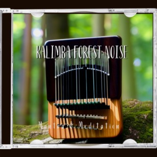 Kalimba Forest Noise