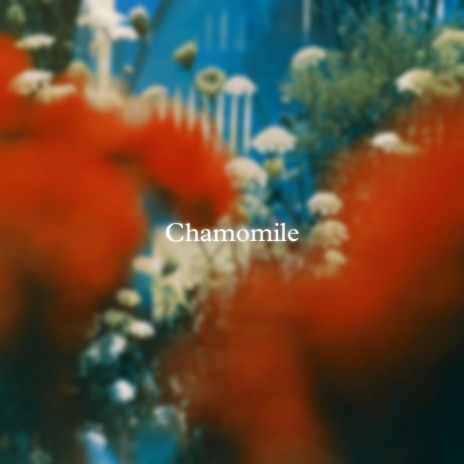 Chamomile | Boomplay Music