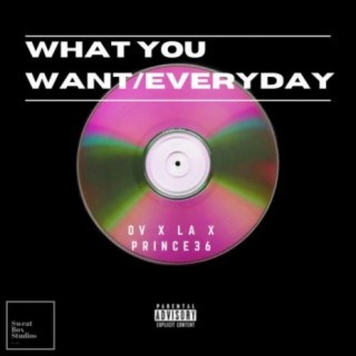 What You Want/Everyday