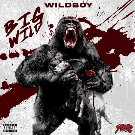 Big Wild | Boomplay Music