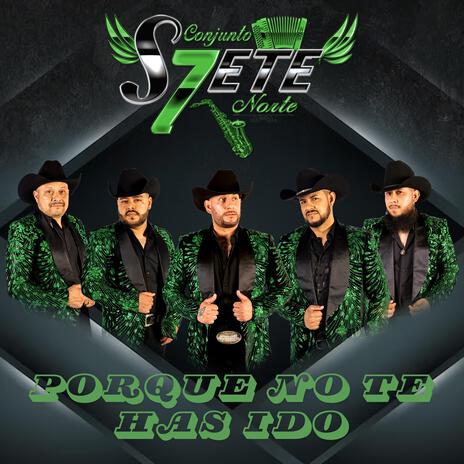 Porque no te has ido | Boomplay Music