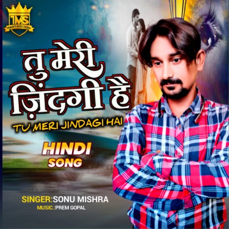 Tu Meri Zindagi Hai | Boomplay Music