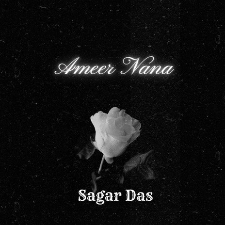 Ameer Nana | Boomplay Music